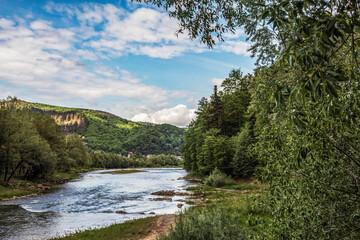 Landscapes -  Forest - Europe, Romania, Suceava region