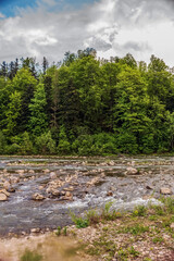 Obraz premium Landscapes - Forest - Europe, Romania, Suceava region