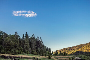 Landscapes -  Forest - Europe, Romania, Suceava region