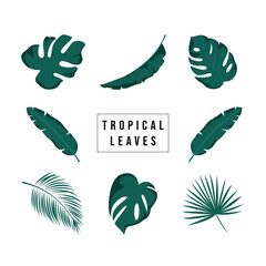 Set of tropical leaves vector. Tropical poster, invitation floral. Vector arrangements for greeting card or invitation design.