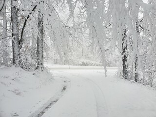 road in the snow