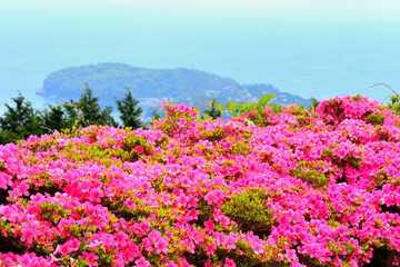 星ヶ山公園　真鶴半島　神奈川県湯河原
