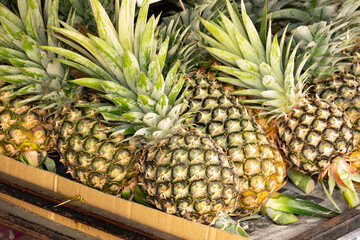 A bunch of pineapples are displayed on a table