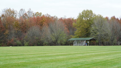 The wide playground view surrounded by the colorful forest woods in autumn