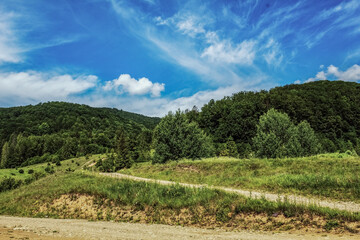 Naklejka premium Landscapes - Forest - Europe, Romania, Suceava region