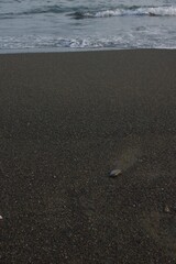 辻堂海浜公園　辻堂海岸の風景
海辺の春