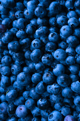 Fresh blueberry background. Texture blueberry berries close up.