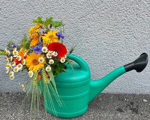 Green watering can filled with colorful wildflowers, rural farm scene. © Maleo Photography