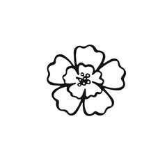 outline of a small field flower, vector illustration