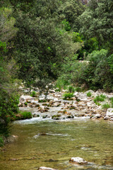 Borosa River Trail, Cerrada de Elías, Sierra de Cazorla National Park, Jaén, Andalusia. Spain