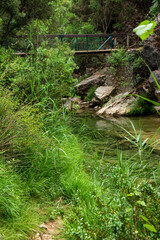 Borosa River Trail, Cerrada de Elías, Sierra de Cazorla National Park, Jaén, Andalusia. Spain