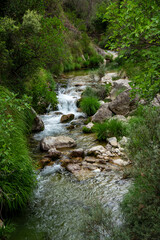 Borosa River Trail, Cerrada de Elías, Sierra de Cazorla National Park, Jaén, Andalusia. Spain