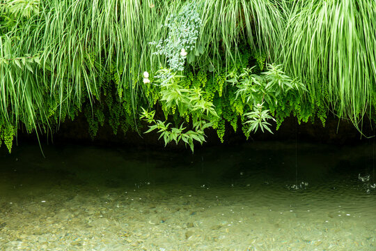 Borosa River Trail, Cerrada de El&iacute;as, Sierra de Cazorla National Park, Ja&eacute;n, Andalusia. Spain