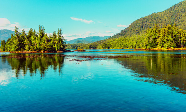 Vivid summer colors reflected on tranquil Northern BC Lake.