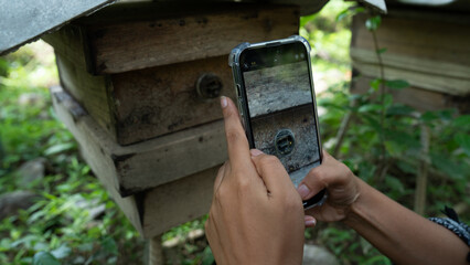 Fototapety na wymiar - Fototapeta24.pl