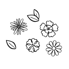 flowers for bouquet outline set, vector illustration