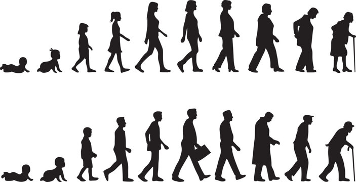 silhouette of Life cycles of man and woman from baby to senior age  vector