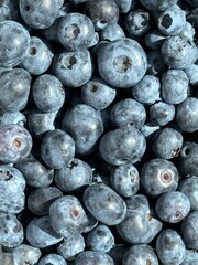 Fresh blueberries with water drops background. Top view. Sweet blueberry with copy space. Natural conditions.