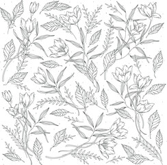 Hand-drawn wild flower line illustration decorative botanical floral foliage wallpaper, delicate flower leaf composition in natural rustic drawing boho thin ink