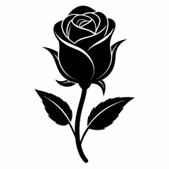 Rose bud black silhouette on white background