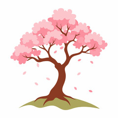 Cherry blossom tree on ground on white background