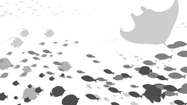 海中を泳ぐ魚の群れの背景_シルエット_16:9