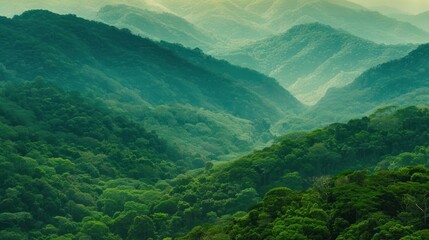 Tranquil Green Mountains in the Mist