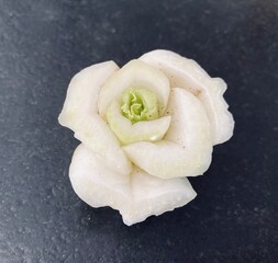 veggie white rose