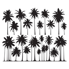 Obraz premium Set of palm tree silhouettes isolated on a white background, Vector illustration.