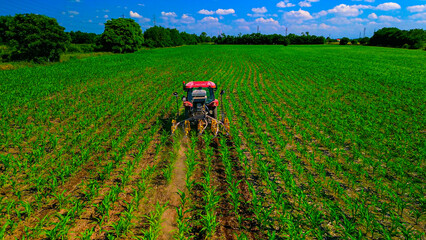 Aerial view of green fields with corn. Flying a drone over a red tractor cultivating land. Fgriculture. energy. Agricultural work. Harvest. Green Planet Bio products. Italy lombardia Milan 09.07.2024