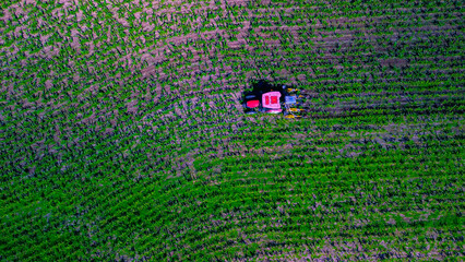 Aerial view of green fields with corn. Flying a drone over a red tractor cultivating land. Fgriculture. energy. Agricultural work. Harvest. Green Planet Bio products. Italy lombardia Milan 09.07.2024