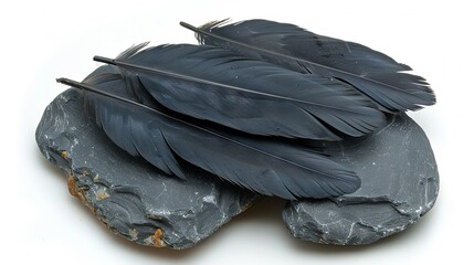   Black feathers on gray rock on white cloth