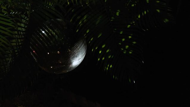 tropical night club scene with spinning disco ball and palm trees illuminated by the lights coming off of the disco ball. 