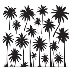 Set of palm tree silhouettes isolated on a white background, Vector illustration.