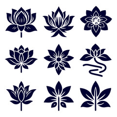 Fototapeta premium Creative Botanical set with flowers Design
