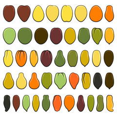 Set of color illustrations with green and yellow tomatoes. Isolated vector objects on white background.