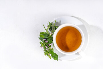 Deaf nettle herbal tea in white cup, with dead nettle sprig bunch and tea pot, copy space