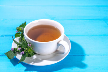 Deaf nettle herbal tea in white cup, with dead nettle sprig bunch and tea pot, copy space