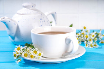 Herbal organic daisy camomile tea with fresh wild summer daisy chamomile flowers, in white cup, with teapot copy space