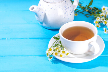 Herbal organic daisy camomile tea with fresh wild summer daisy chamomile flowers, in white cup, with teapot copy space