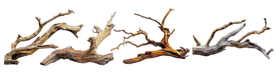 Set of Driftwood cut out transparent isolated on white background PNG file