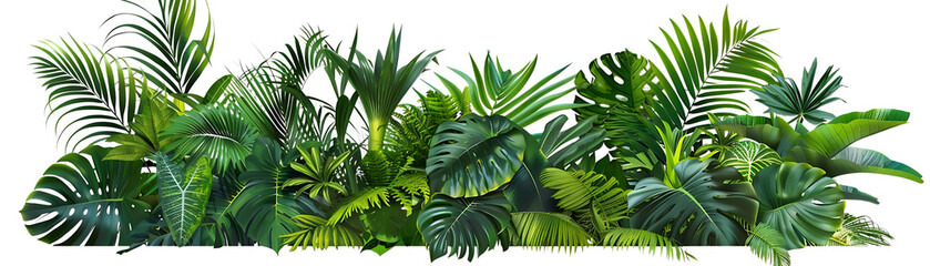 Tropical Leaves Illustration with White Background
