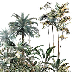 Tropical Palm Trees and Lush Greenery Illustration