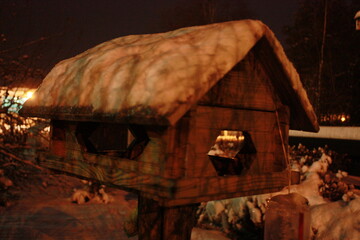 Bird house covered with snow