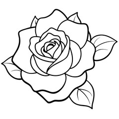 different shallotte rose flower lines art design 