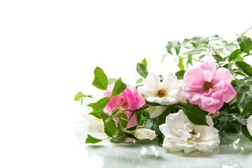 wooden light background with white and pink roses