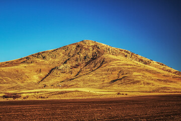 Landscapes - Macro  - Forest - Europe, Romania