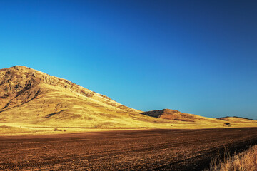 Landscapes - Macro  - Forest - Europe, Romania