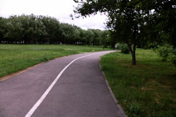 road in the park