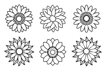 Sunflower flower line art Fine-lined artwork depicts sunflower beauty